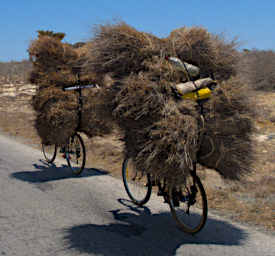 Toliara Bicycles Xxx