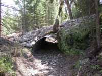 Culvert, Downstream View