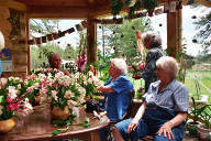 Dorothy, Nancy, Anne, Dona and Mary arranging flowers