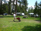 Ian moving flowers in wheelbarrow