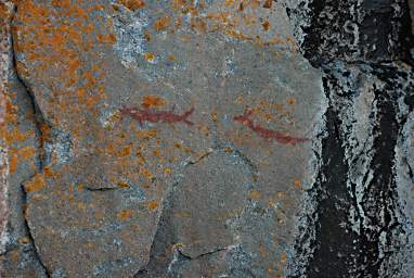 Lake Superior Agawa Rock Pictographs Fish