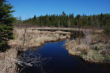 Sleeping Giant Creek