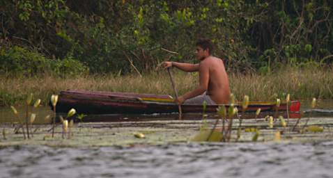 Local Cayuco