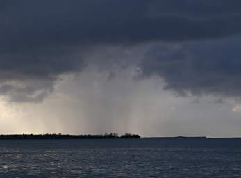 Afternoon Shower