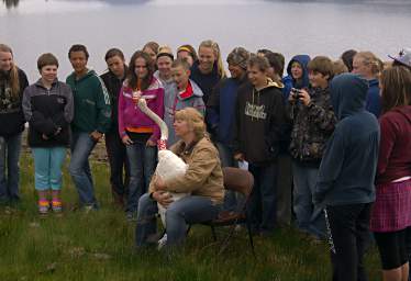 SwanRelease_0061_20130516