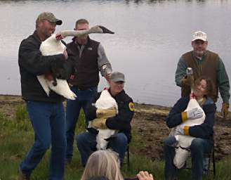 SwanRelease_0139_20130516