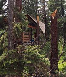 Broken Tree House