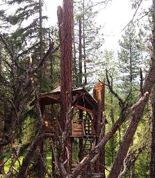 Broken Tree House