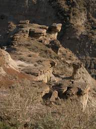 SageGrouse_0153_20140420