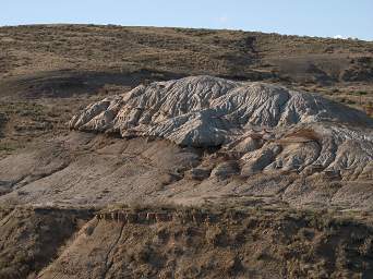 SageGrouse_0155_20140420