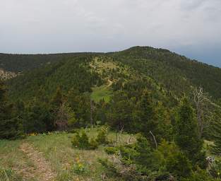 Looking To Old Baldy Top