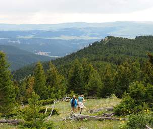 Looking W From Old Baldy Trail331