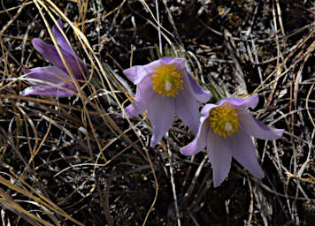 20210408 Makoshika Hike