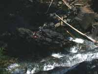 Morrell Falls, Looking down on Lynde and Vic