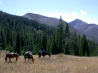 Mt. Evans and Cabin Creek Drainage