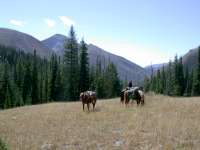 Mt. Evans and Cabin Creek Drainage