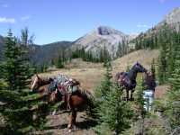 Scapegoat Pack Trip, September 2005