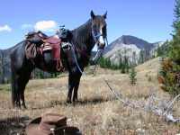 Haley and the Continental Divide