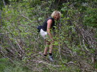 Wading the trail