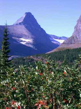 Mt. Gould and Grinnell Glacier