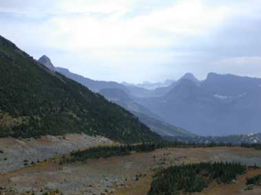 Looking South, from Swiftcurrent Trail