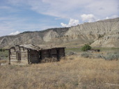 Old homestead cabin