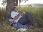 Bill reading