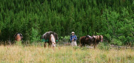 Gary with horses