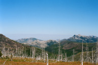 Looking north from hill in Half Moon Park