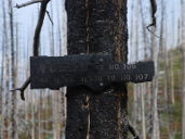 Burned Trail Sign