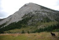 Looking East from Phone Creek Camp