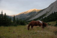 Sunrise on Phone Creek