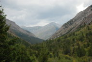 Middle Fork Birch Creek Country