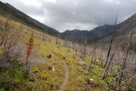 Looking up Crazy Creek