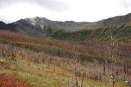 Corrugate Ridge on Upper Crazy Creek