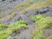 Busted bridge across small ravine