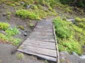 Busted bridge across small ravine