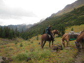 Gary and horses, Bruce Creek Country