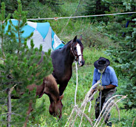 Gary at Camp 