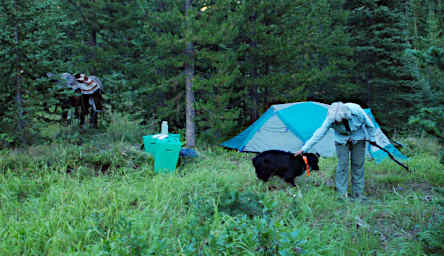 Camp, Middle Fork Monture Creek