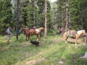 Rest stop, Green Fork trail