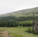 Looking down on Half Moon Park