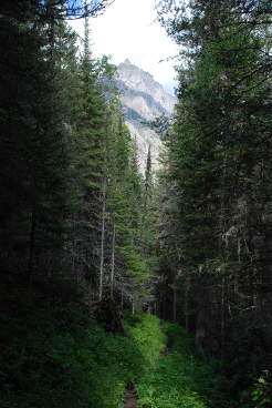 Brown Pass Trail