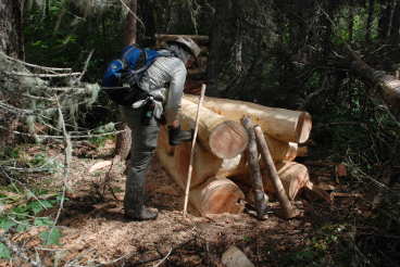 Logs for bridge landing