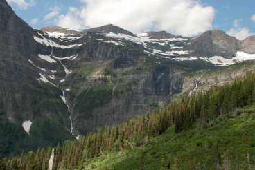 Pocket Creek Landscape