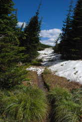 Snow at approach to Brown Pass