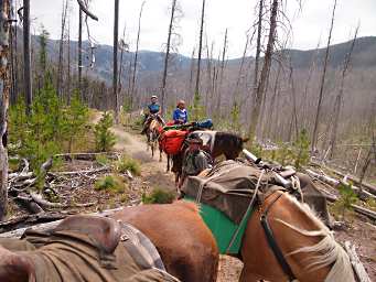 Dona, Zia and Adin on the trail