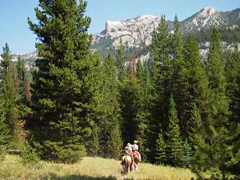 Young's Creek Country, Andrea and Steve