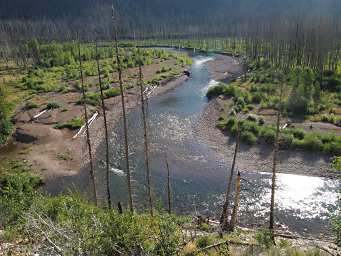 South Fork of the Flathead