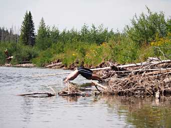 Cooling Off, Adin